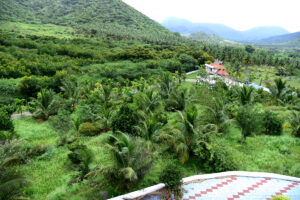 View of Holistic Resort Anaikatti
