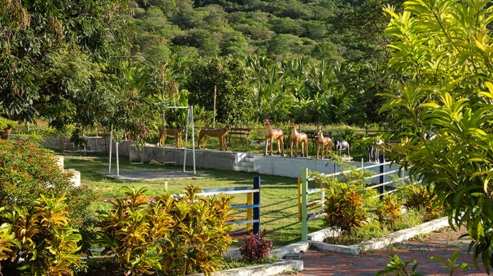 Nirvana Garden
