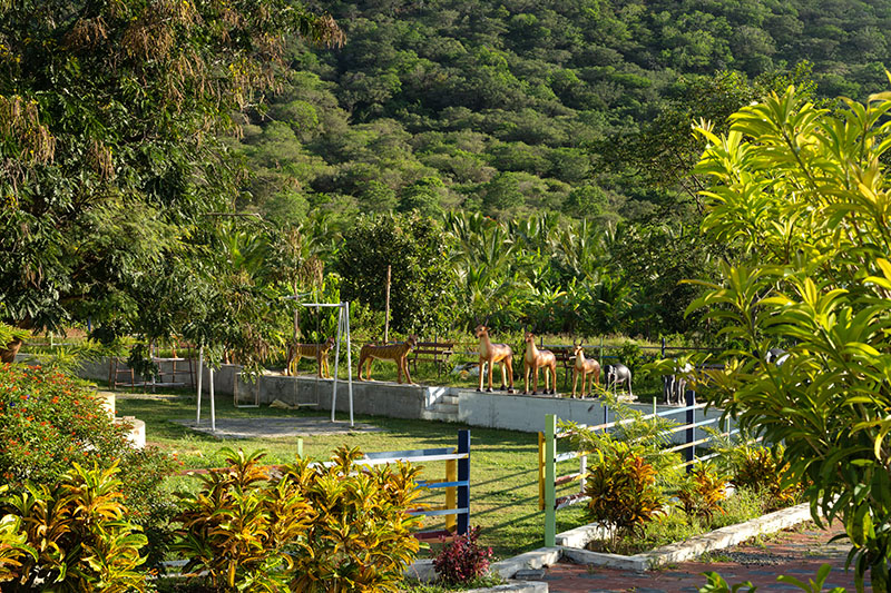 NIrvana Holistic Living Resort in Anaikatti
